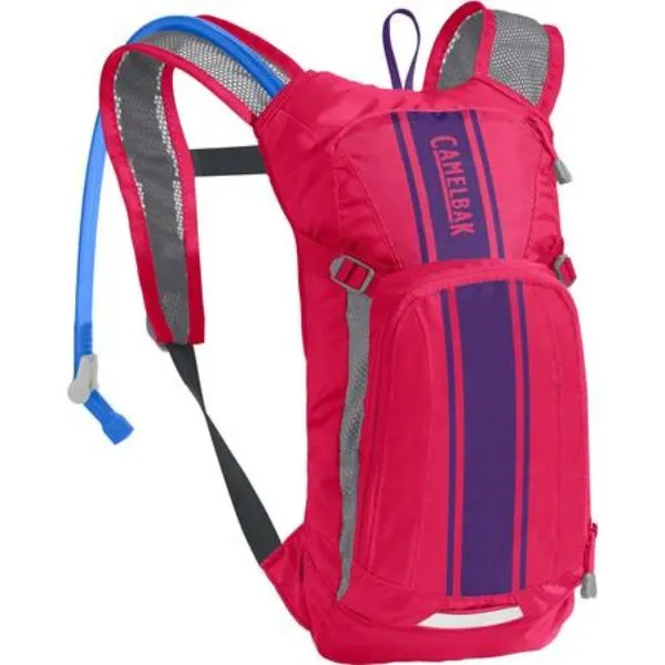 CAMELBAK - Kids' Mini M.U.L.E. 50 oz Hydration Pack