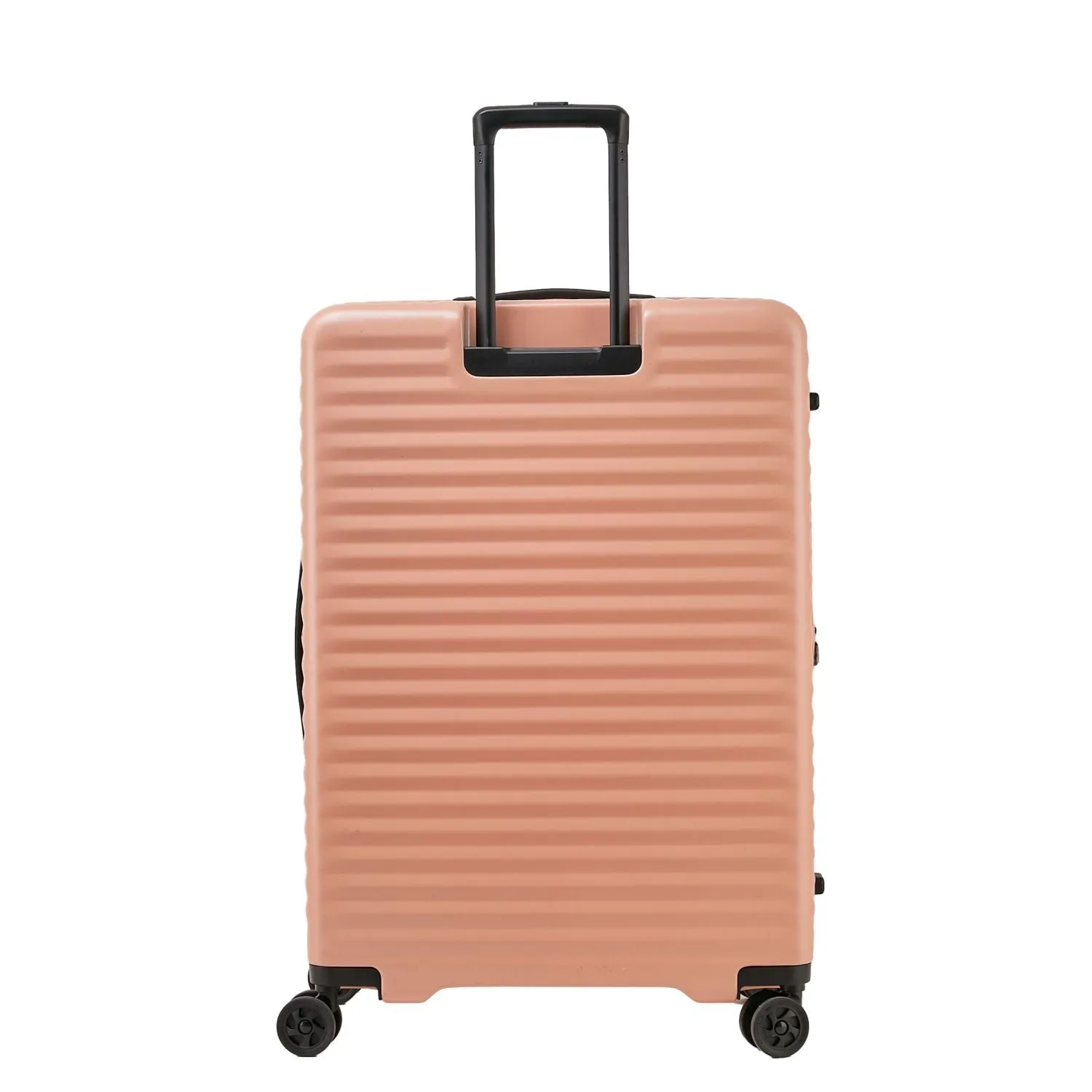 Echolac Celestra 28" Large Upright Luggage With Front Access Opening (SA)