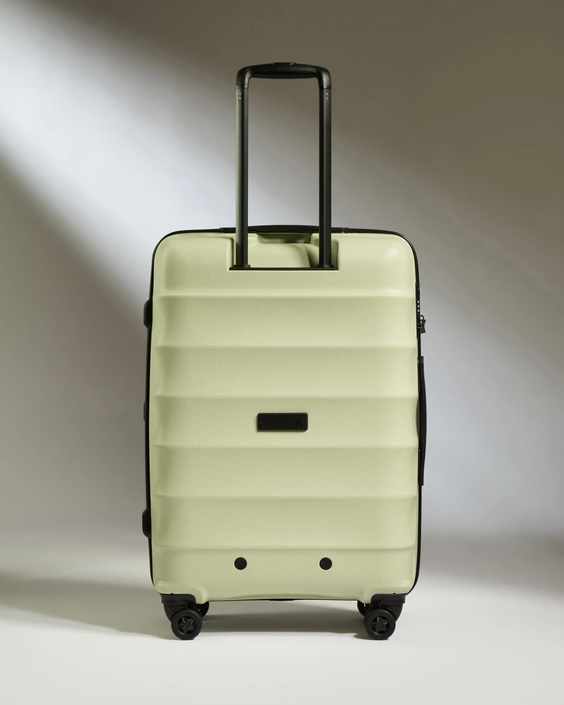 Medium Suitcase in Pale Green - Juno