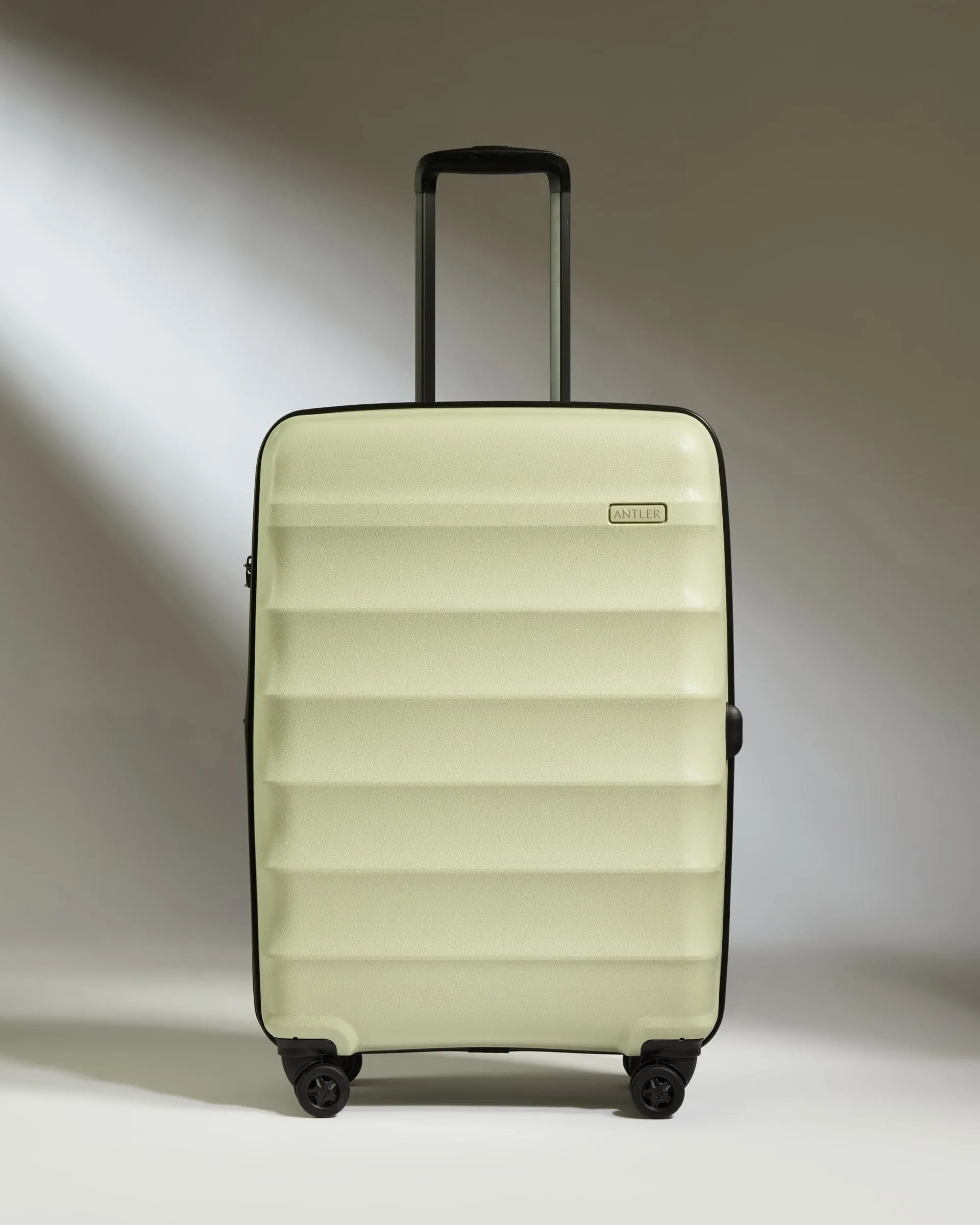 Medium Suitcase in Pale Green - Juno