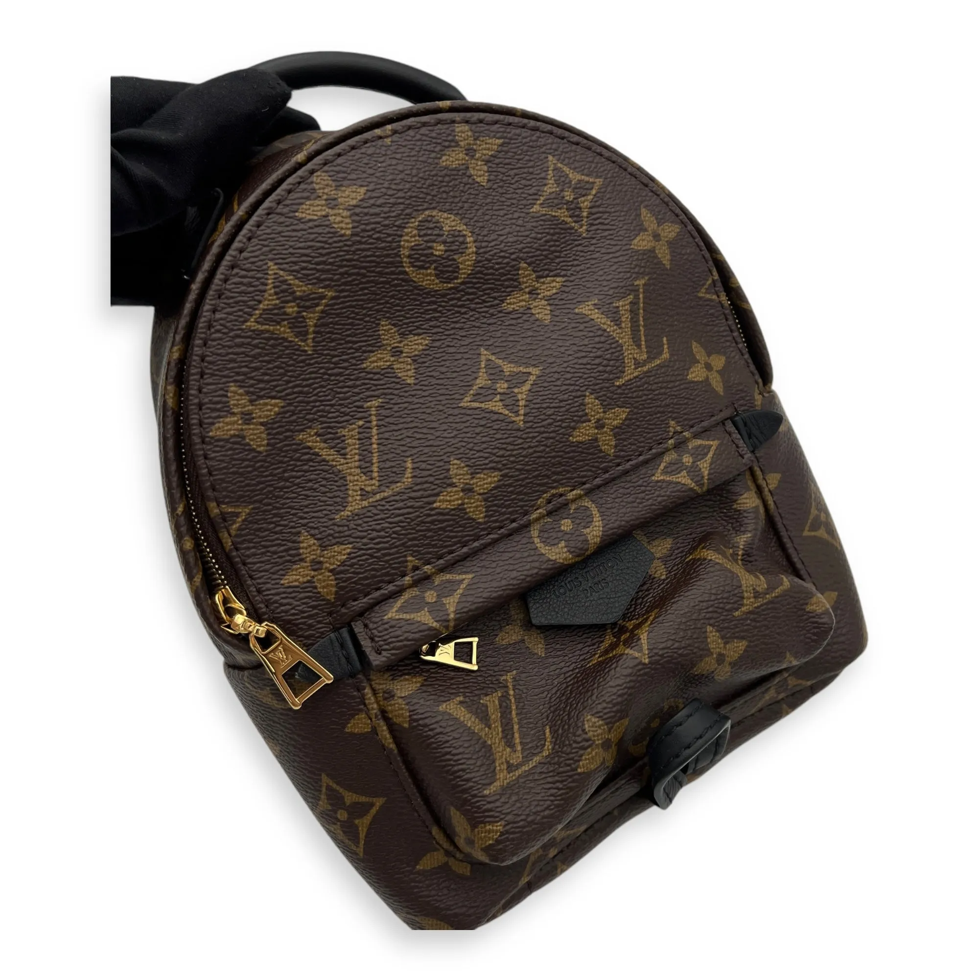 Palm Springs Backpack Mini Brown in Monogram Coated Canvas, Gold hardware