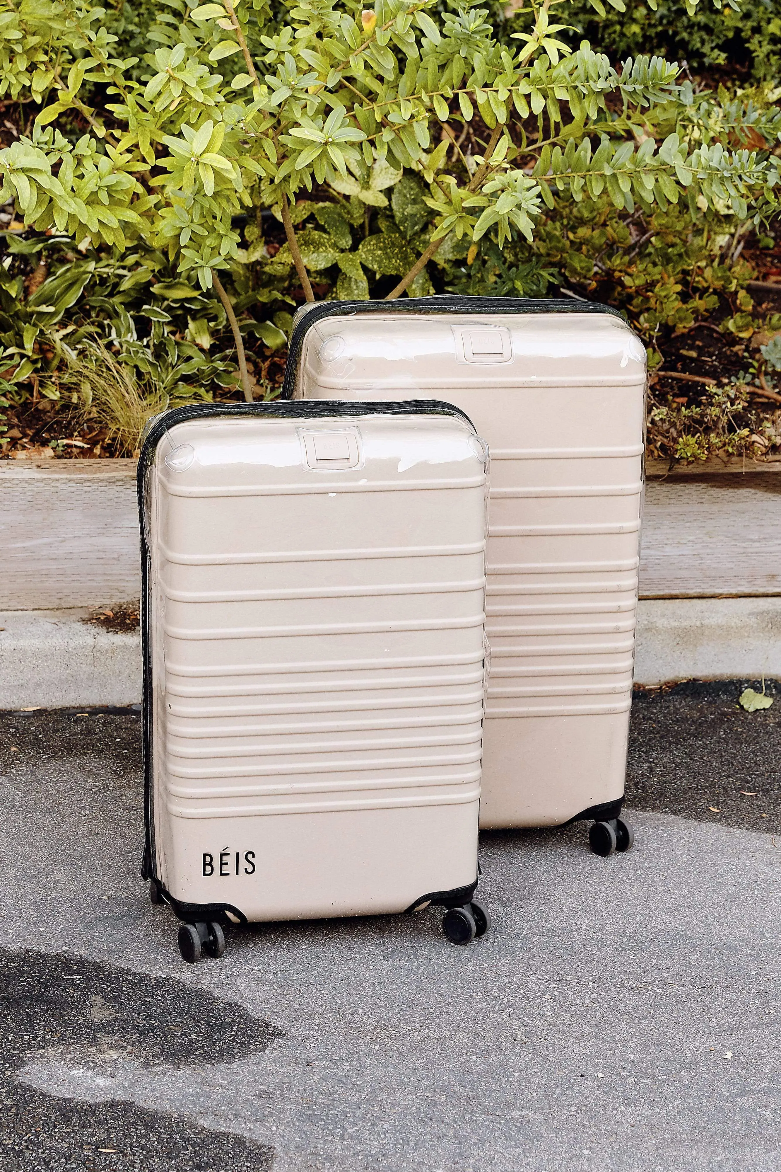 The Medium Check-In Luggage Cover